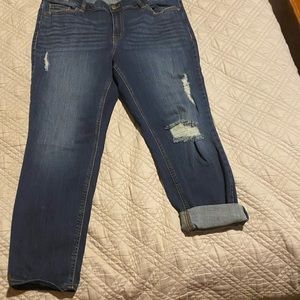 Eunina jeans.  Never worn.  Size 2xl. Distressed